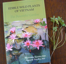 Books-edible wild plants of vietnam
