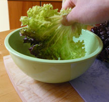 Sham wow lettuce 3