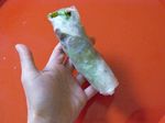 Rice paper rolls open-6