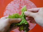 How to wrap rice paper rolls 2
