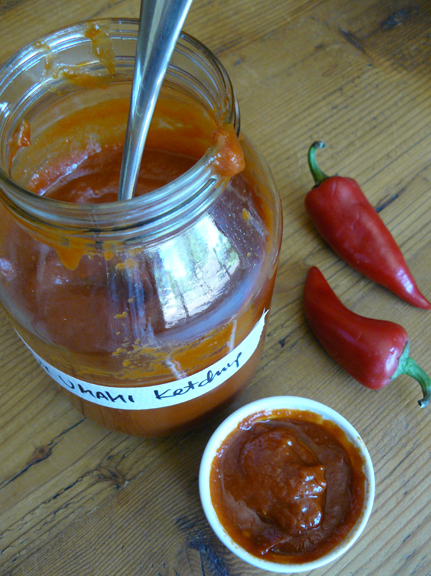 Spicy-umami-ketchup