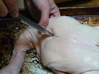 homemade peking duck
