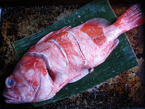 Whole fish ready for the grill