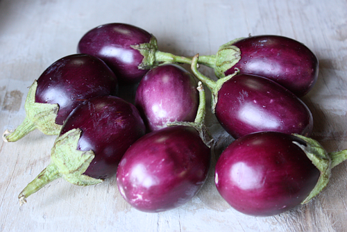 Indian-eggplant