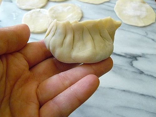 Homemade pot stickers. The skin was prepared with the basic dumpling dough.