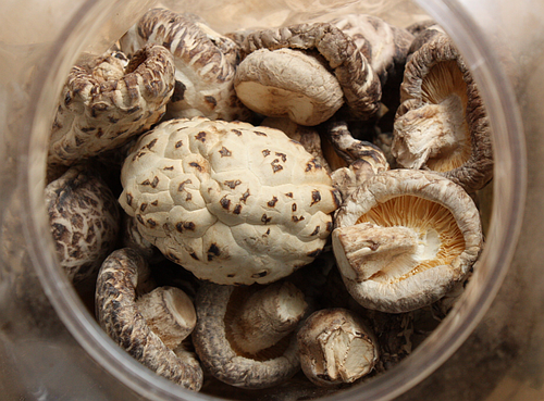 Dried-shiitake mushroom jar