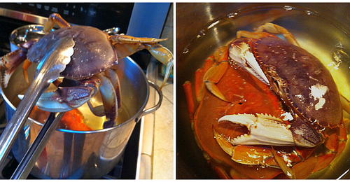 How to cook live crab