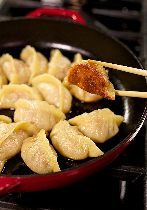 Crispy bottoms of homemade pot stickers. Delicious.
