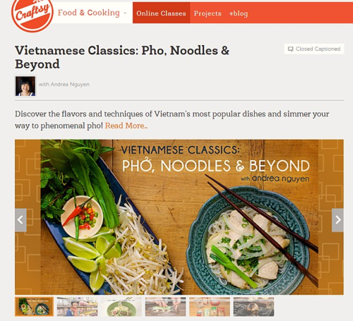 Craftsy Viet class -- click to purchase at a VWK discount