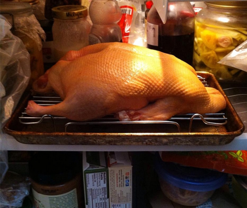 Chinese-roast-duck-chill Chinese-roast-duck-chill