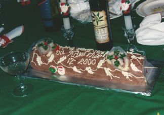 Yule-log-2000