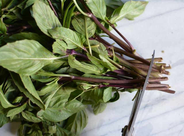 Herbs-basil-trim-ends