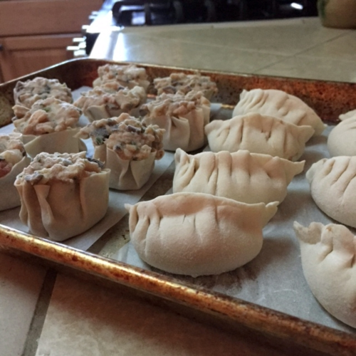 Frozen-dumplings-2