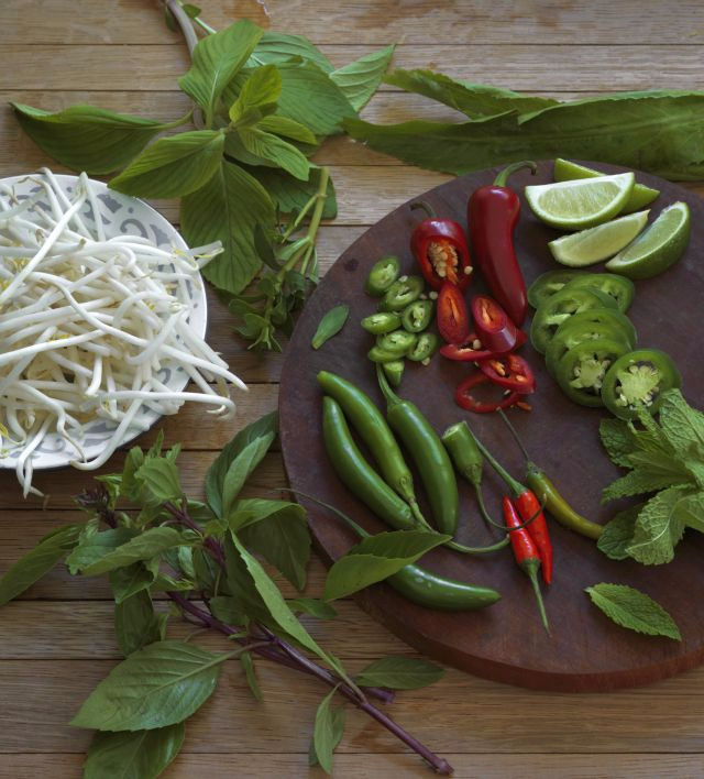 GARNISH_PLATE-pho-cookbook-by-john-lee