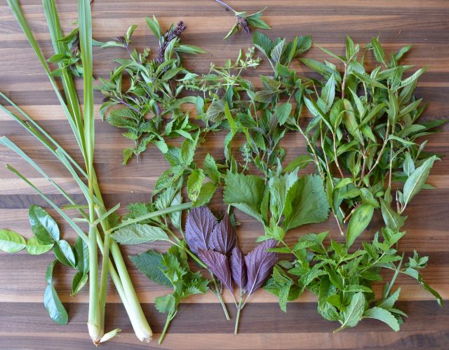 Herb-salad-garden