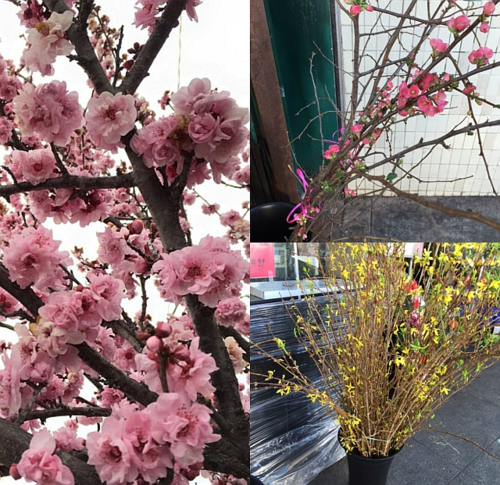 Blossom collage