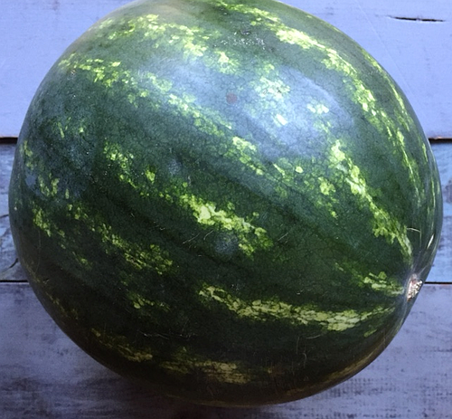 Watermelon-whole