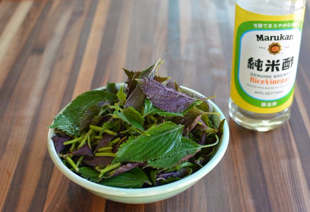 Shiso-vinegar-ingredient