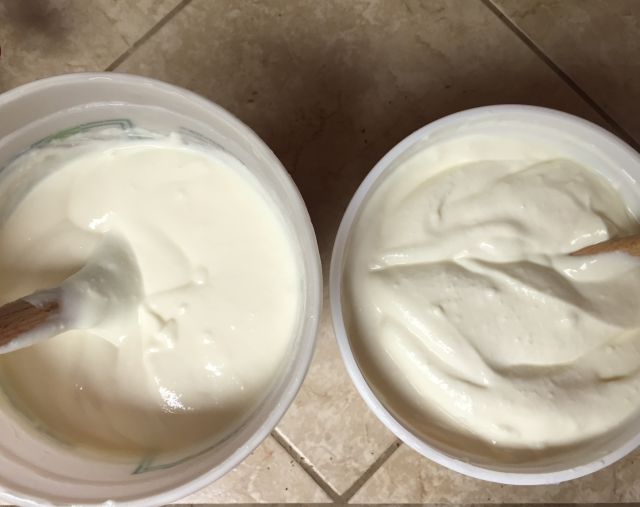 Instant-pot-yogurt-comparison