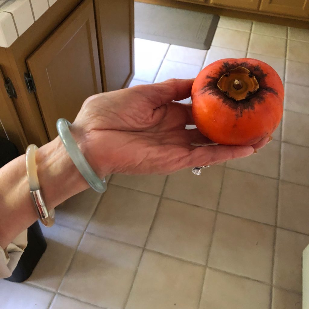 persimmon