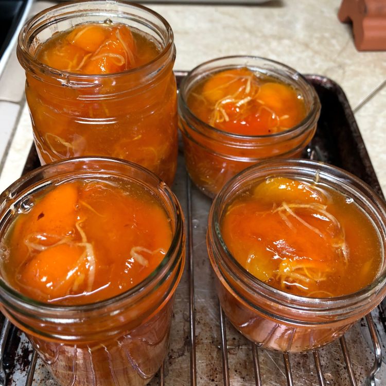 apricot ginger jam