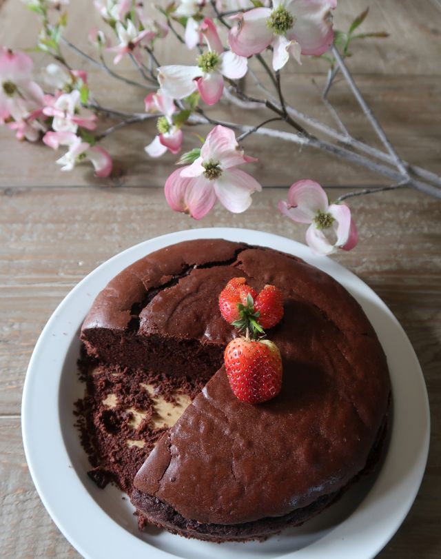 Versatile Chocolate Cake