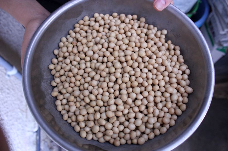 Soybean selection US in Asia