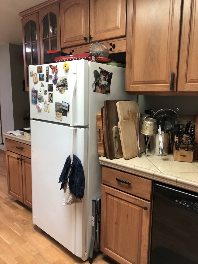 How I Buy Refrigerators for my Workhorse Kitchen - Viet World Kitchen