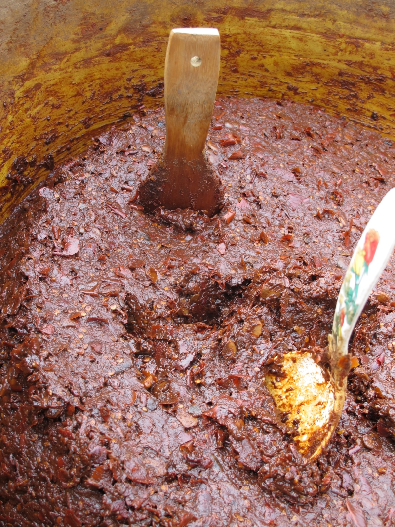 My Doubanjiang Chile Bean Paste Mega Guide Viet World Kitchen