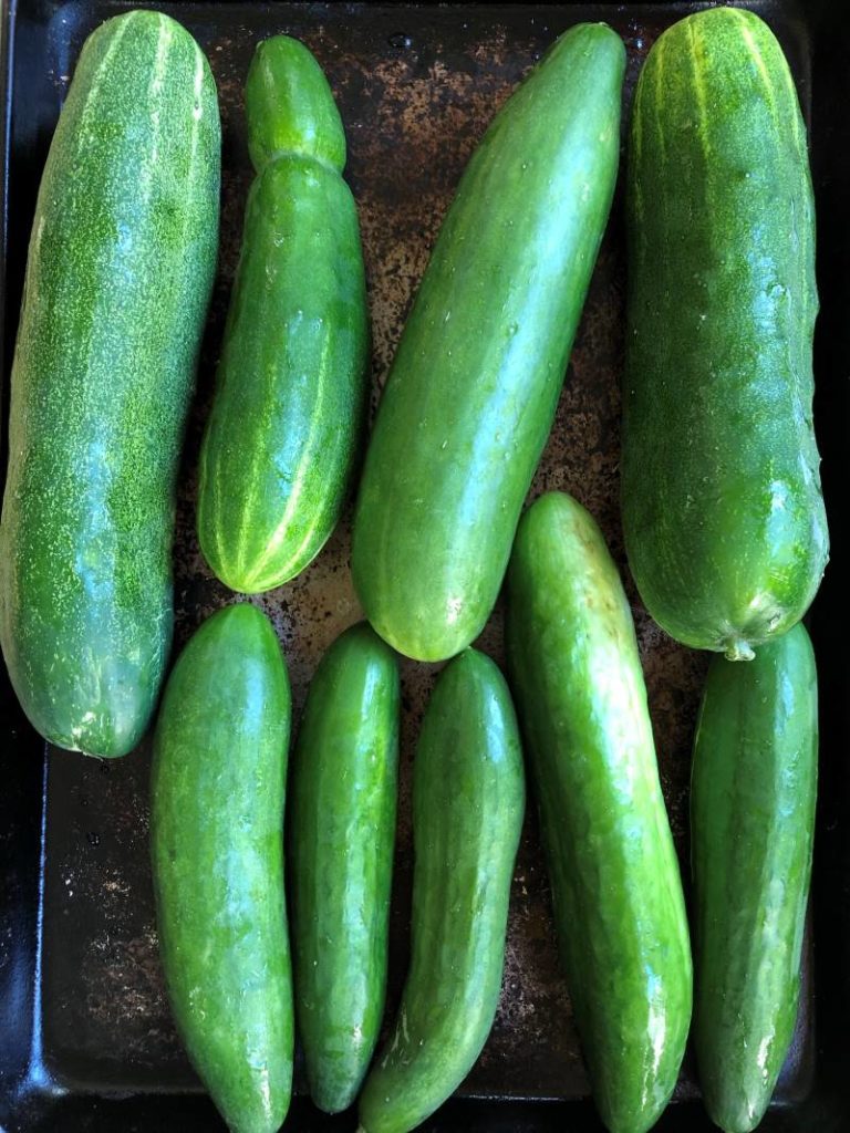 cucumbers