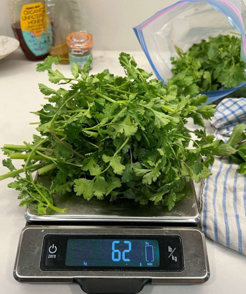 cilantro mint chutney weighing cilantro