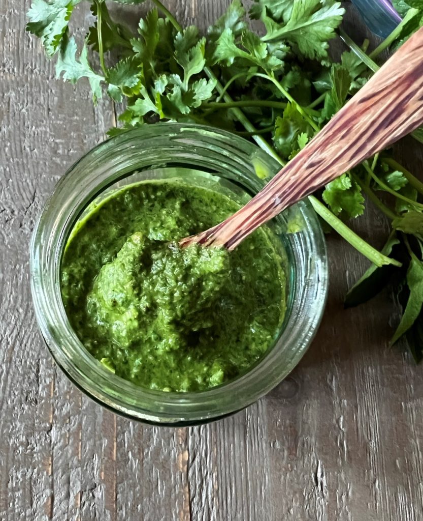 cilantro mint chutney recipe