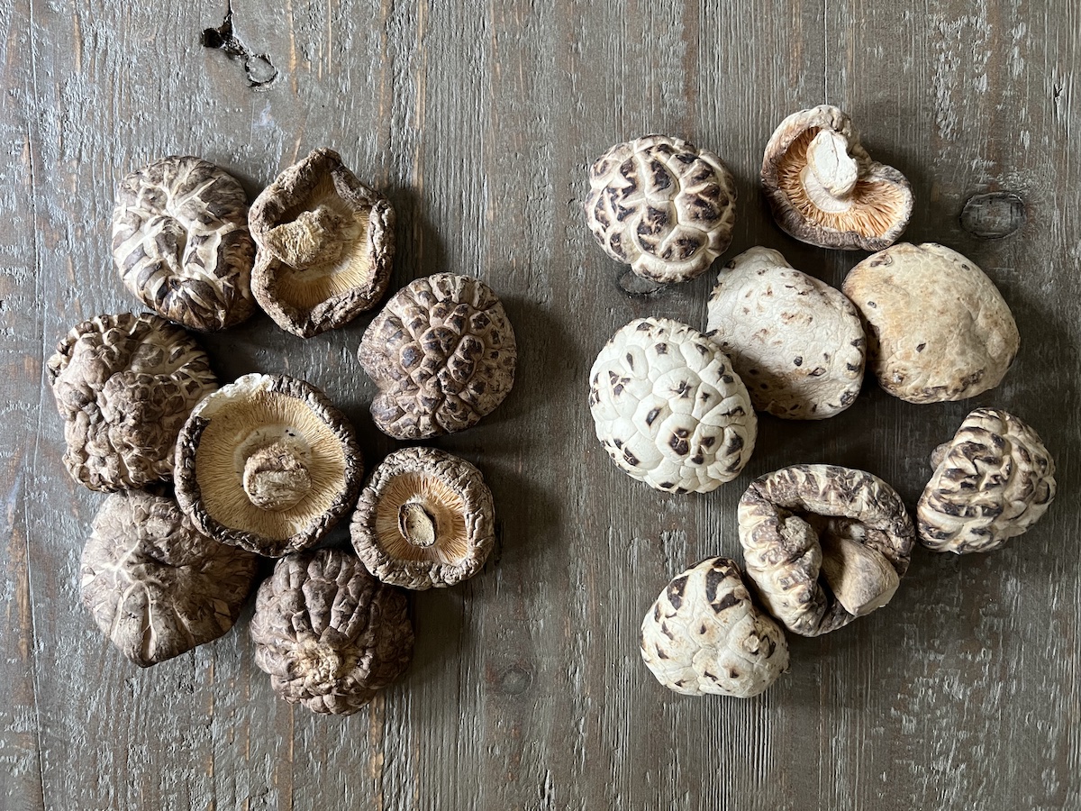 Dried Shiitake Guide How to Buy, Soak and Prep the Mushrooms Viet