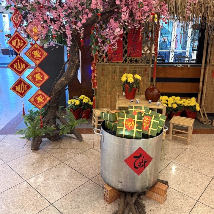 Dried Shiitake Guide: How to Buy, Soak and Prep the Mushrooms - Viet