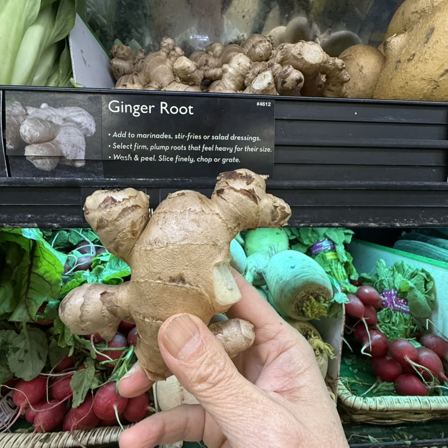 mature ginger