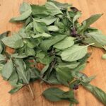 thai basil