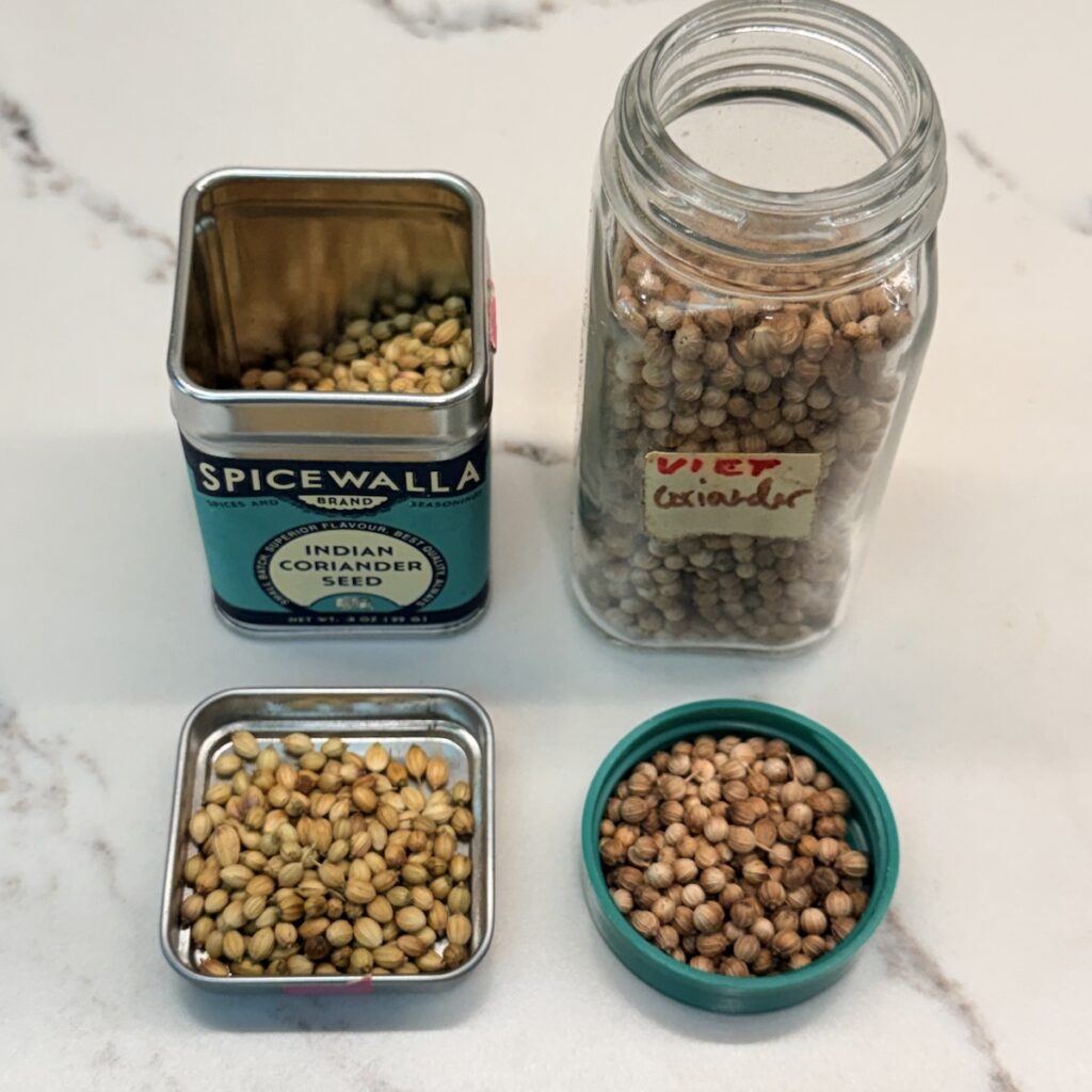 Indian and vietnamese coriander