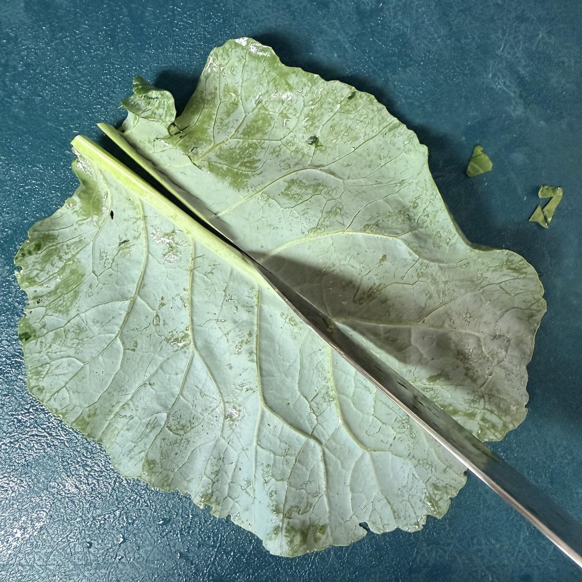 stir-fried beef and collard greens prepping greens
