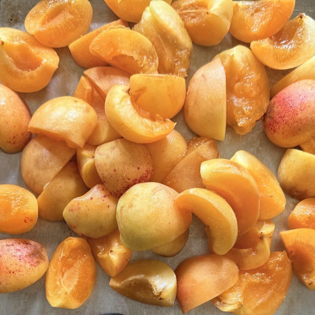 apricot wedges