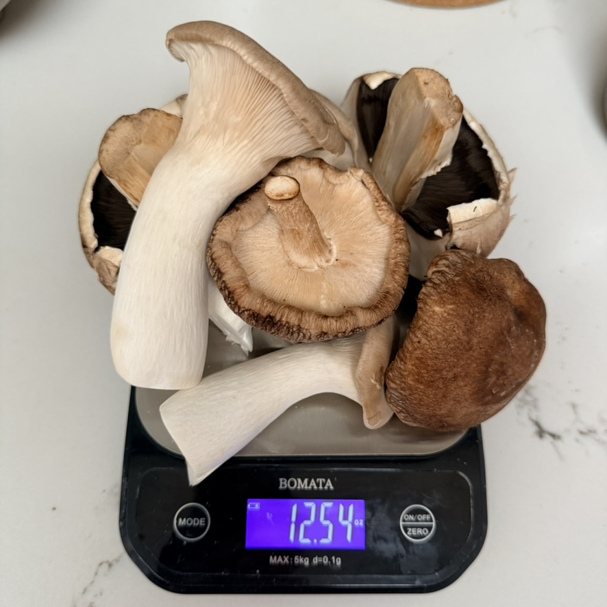 shoyu mushroom prep