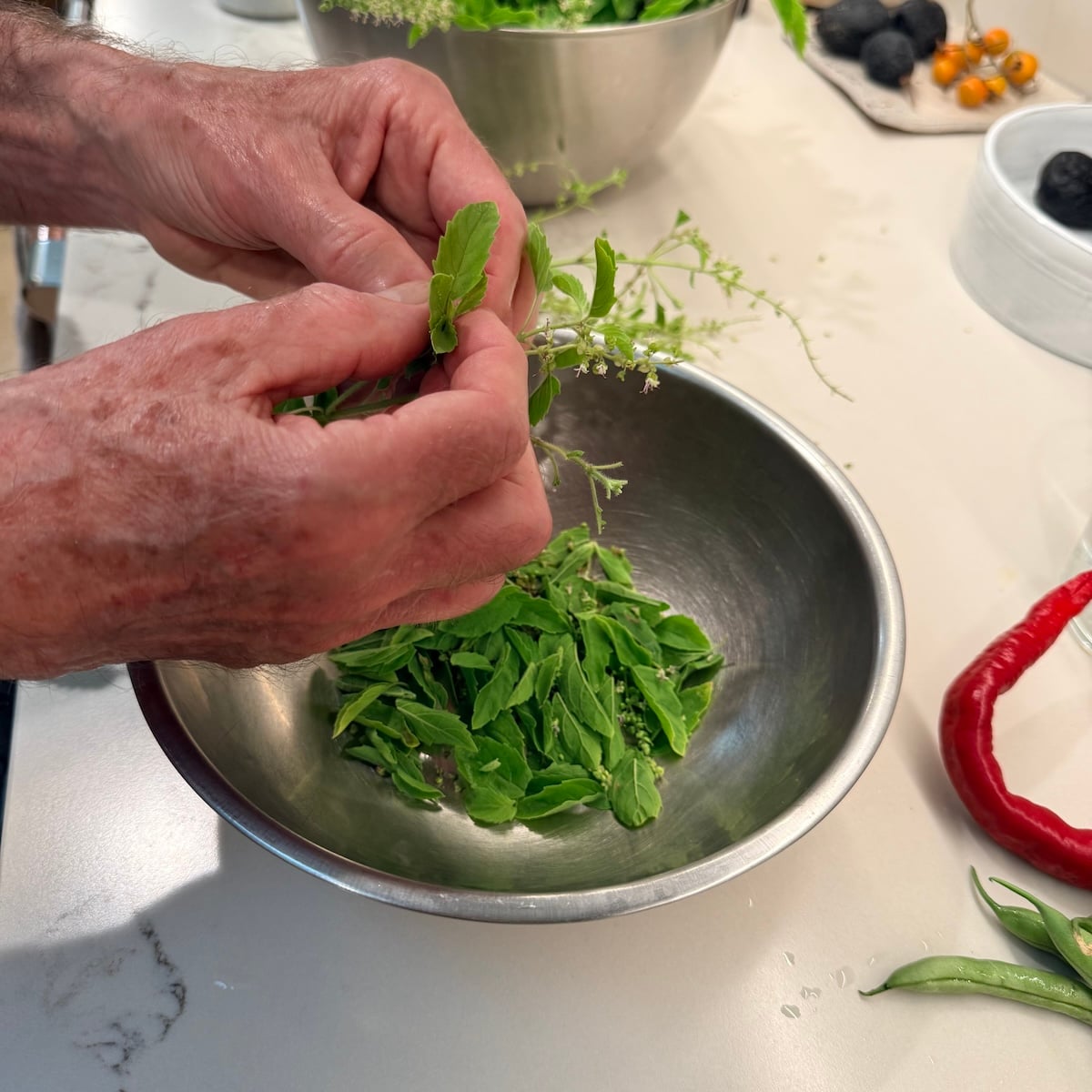 holy basil prep